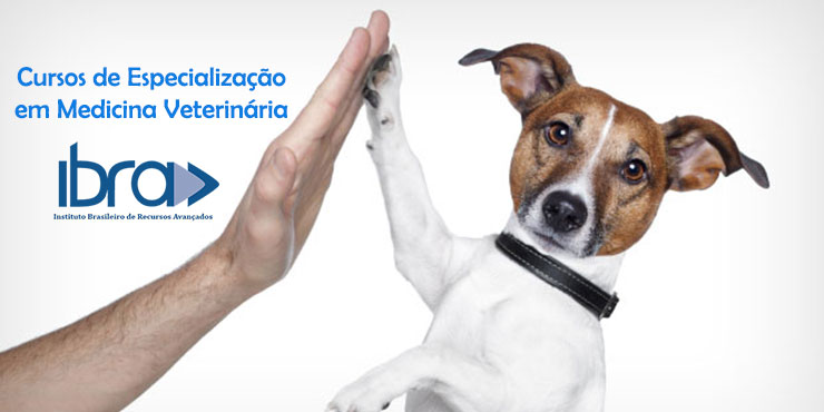 Redevet Leve os cursos do IBRA para sua cidade