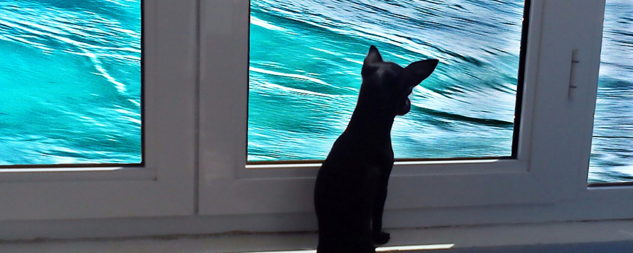 Redevet cromoterapia