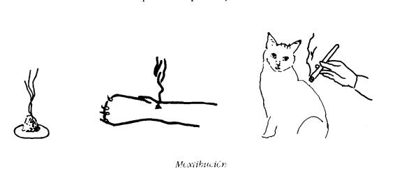 Redevet moxibustao animais