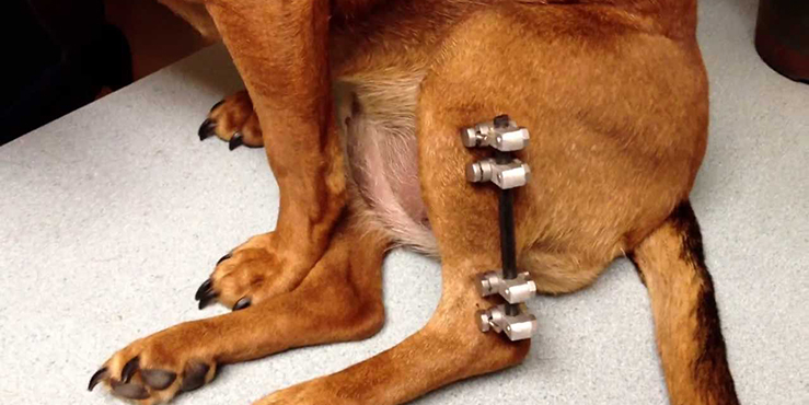 Redevet fratura radio ulna1