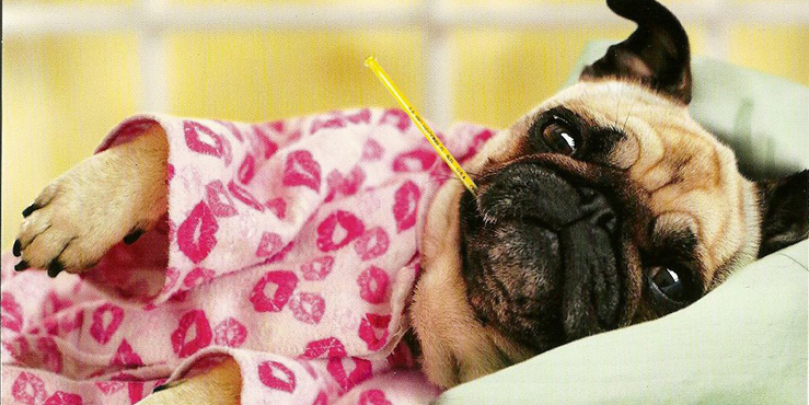 Redevet hernia inguinal