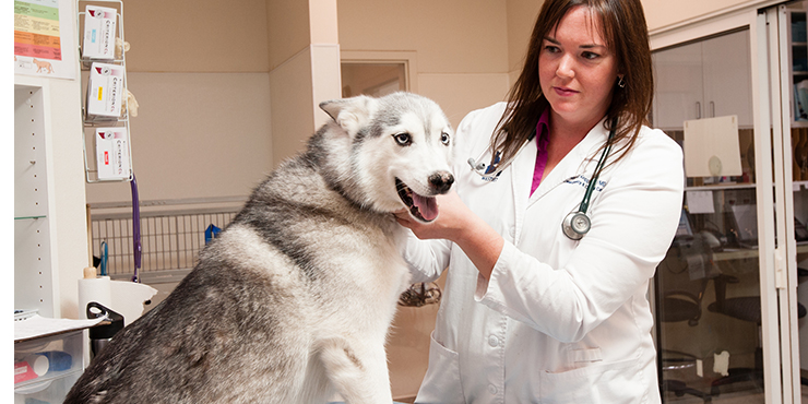 Redevet tecnica do gancho