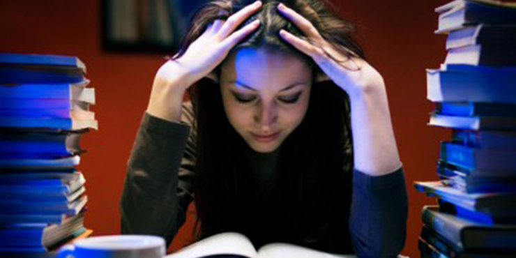 Redevet carreira veterinária