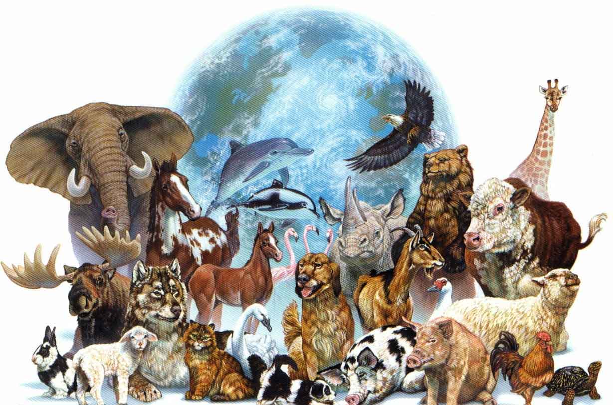 redevet pensadores pensamentos curiosidade