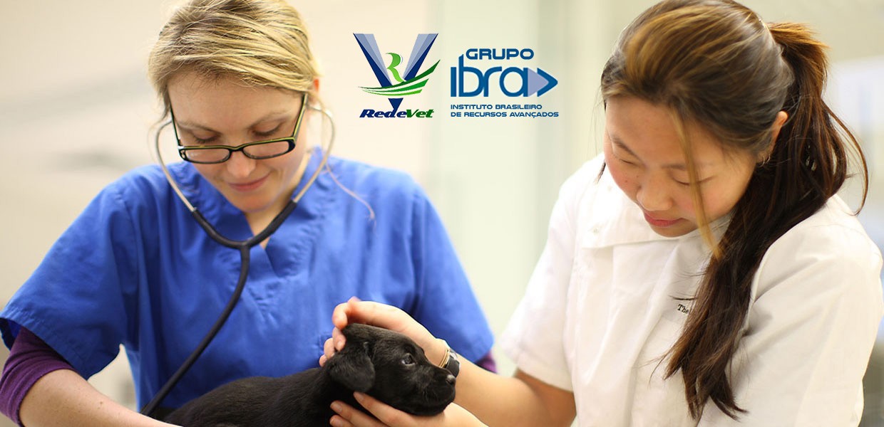 Pós-graduação, intensivo, semi-extensivo e profissionalizantes.